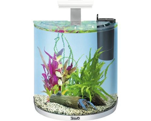 Aquarium mit Dekoration, Pflanzen und Krebs