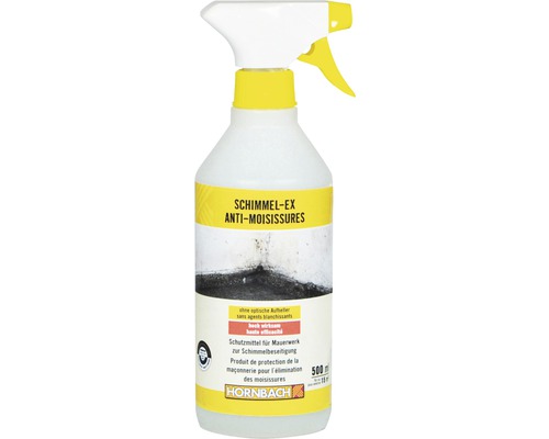 Spray anti-moisissures 500 ml - HORNBACH