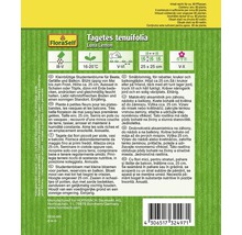 Tagetes tenuifolia Luna Lemon Saatgutpackung