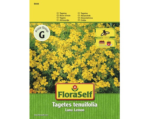 FloraSelf Tagetes tenuifolia Luna Lemon Blumensamen Packung