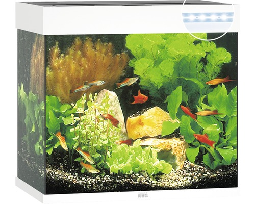 Kit complet d'aquarium EHEIM incpiria 230 reef avec pompe d