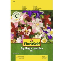 Ancolie Aquilegia caerulea FloraSelf semences non hybrides graines de fleurs