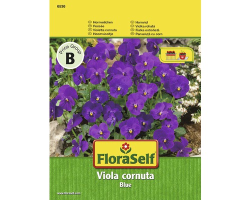 Violette cornue bleue FloraSelf semences stables graines de fleurs