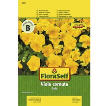 FloraSelf Pensée à corne jaune