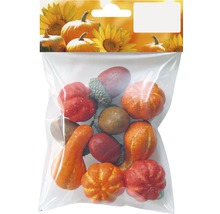 Paquet de citrouilles et de glands pour la décoration