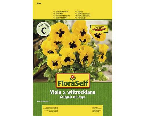 FloraSelf Viola x wittrockiana jaune doré à œil