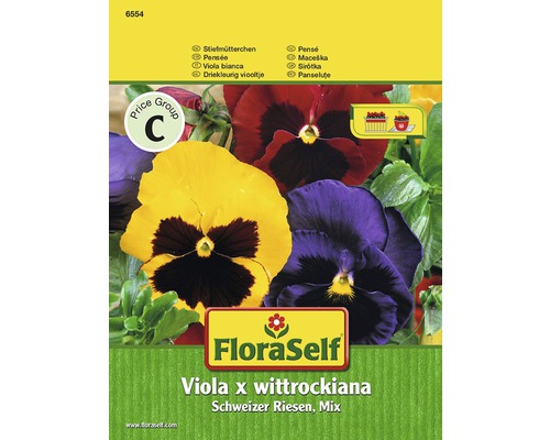 Pensée 'Schweizer Riesen-Mix' FloraSelf semences stables graines de fleurs