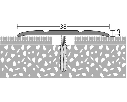 Illustration eines Übergangsprofils mit Schraube und Dübel, Maße 38 x 2,5