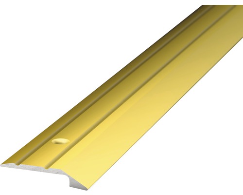 Abschlussprofil Alu gold gelocht 30x1000 mm