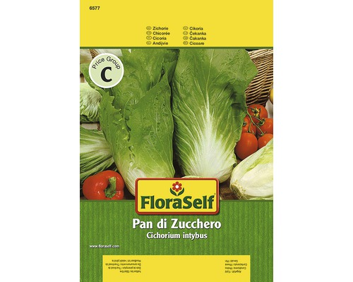Zichorie 'Pan di Zuchero' FloraSelf samenfestes Saatgut Gemüsesamen