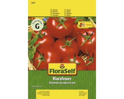 Tomate 'Harzfeuer' FloraSelf F1 semences de légumes