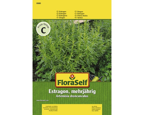 Estragon FloraSelf semences stables semences de fines herbes
