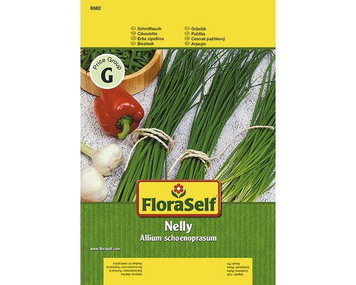 Ciboulette 'Nelly' FloraSelf semences stables semences de fines herbes