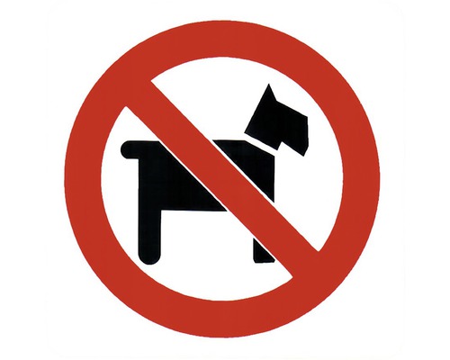 Hinweisschild Hunde verboten 75x75 mm