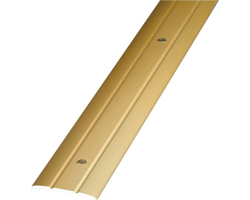 Prinz Übergangsprofil Alu gold gelocht 38 x 1000 mm Goldfarbene Übergangsschiene mit Schrauben