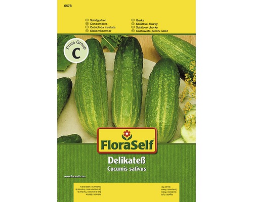 Concombre 'Delikatess' FloraSelf semences stables semences de légumes