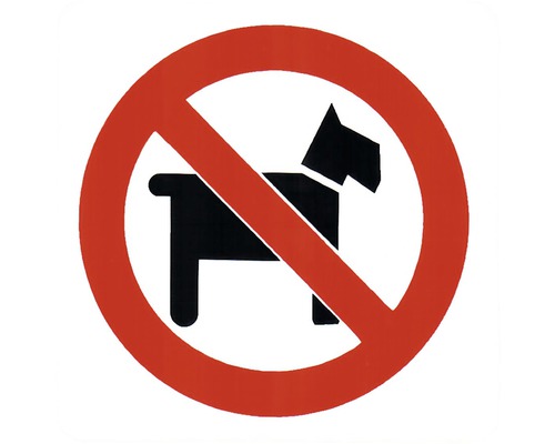 Hinweisschild Hunde verboten 152x152 mm