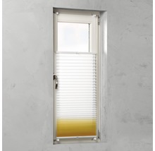 Fenster mit Plissee Rollo zur Fensterdekoration und zum Sonnenschutz