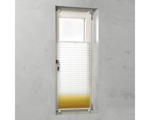 Fenster mit Plissee Rollo zur Fensterdekoration und zum Sonnenschutz