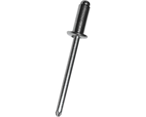 Rivets aveugles Gesipa 4 x 6 mm pack de 100 pièces Rivet aveugle métallique