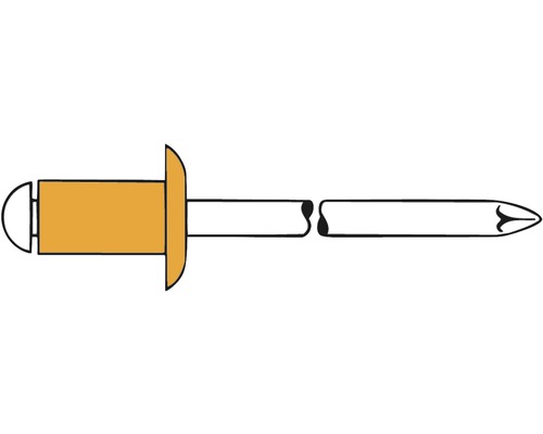 Blindnietstift mit Dorn