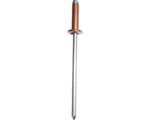 Blindnieten Gesipa Kupfer Ø 3x10 mm 500er Pack Eine einzelne Blindniete aus Metall