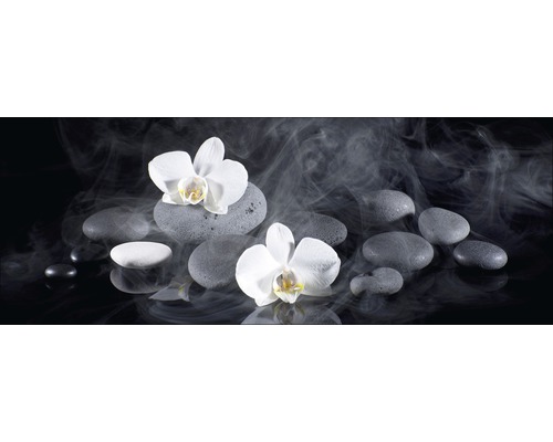 Glasbild White Orchid Iii 30x80 cm