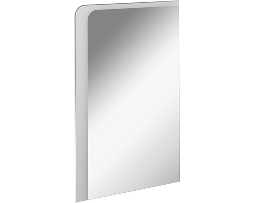 Élément à miroir et à LED FACKELMANN Milano 55x80 cm 11.8 W