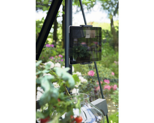 Support de tablette dans une serre avec un plant de tomates au premier plan