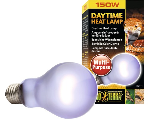 EXO TERRA Terrarium - Ampoule Lumière du jour Daytime Heat, 150 W Lampe chauffante de jour 150 watts avec emballage