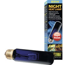 Nachtwärmelampe mit 25 Watt und Verpackung
