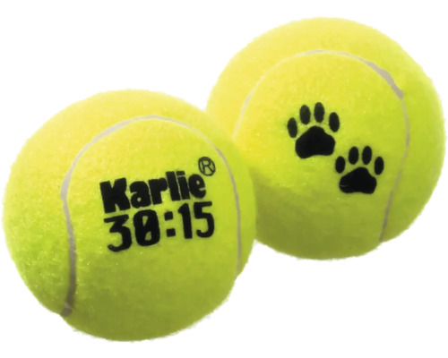 Jouet pour chien balle de tennis set de 2 6 cm, jaune