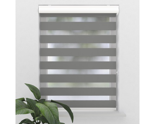 Fensterrollo mit horizontalen Streifen und Pflanzenakzent