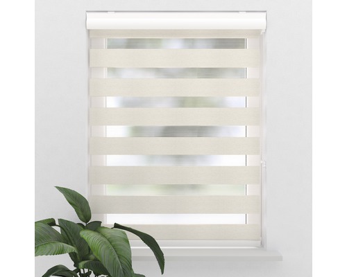 Doppelrollo am Fenster mit Pflanze