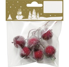 Baies rouges décoratives avec paillettes dans l''emballage