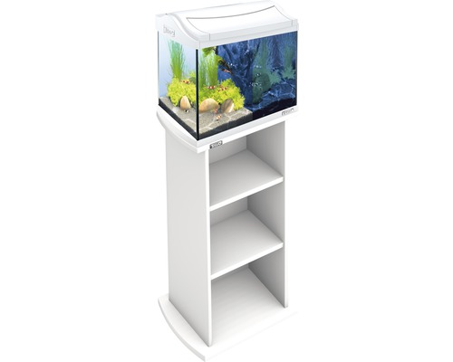 Aquarium sur meuble d''aquarium avec étagères