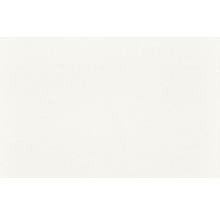 Renoviervlies Malervlies 116601 150 g/m² 50 m x 1 m