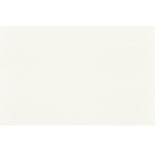 Renoviervlies Malervlies 129809 150 g/m² 25 m x 1,00 m