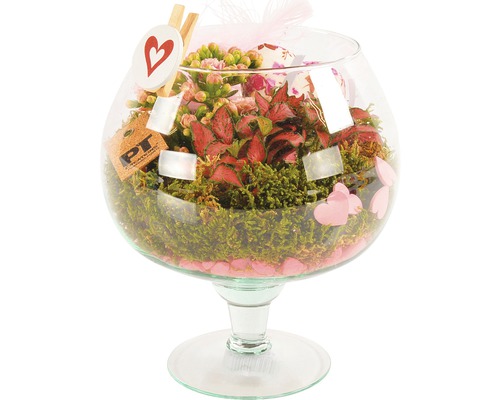 Arrangement FloraSelf Cognacglas in rosa Ø 16 cm