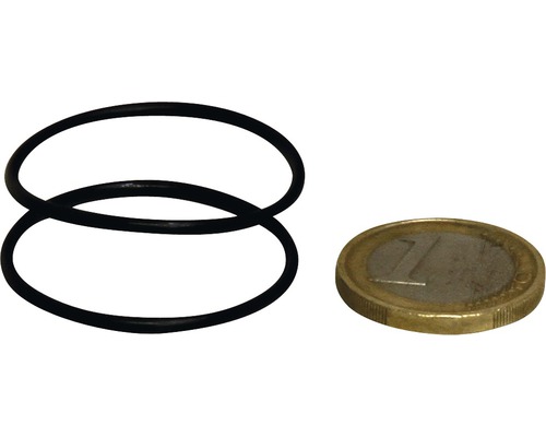 JBL O-Ring Abdeckung und Schlauchanschluss u800/1100 2 Stück