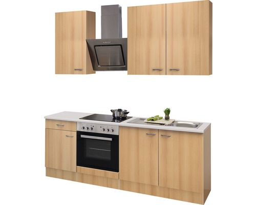 Komplette Küche mit Spüle, Herd, Backofen, Dunstabzugshaube und Hängeschränken.