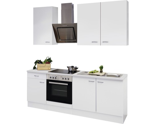 Cuisine intégrée avec évier, plaque de cuisson, four, hotte aspirante et armoires