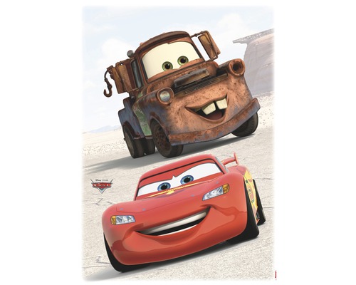 Personnages de dessins animés Flash McQueen et Martin de Cars
