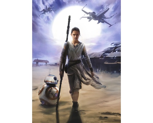 Papier peint panoramique 4-448 Disney Edition 2 Star Wars Rey 4 pces 184 x 254 cm Scène avec Rey, BB-8 et des vaisseaux spatiaux X-Wing de Star Wars
