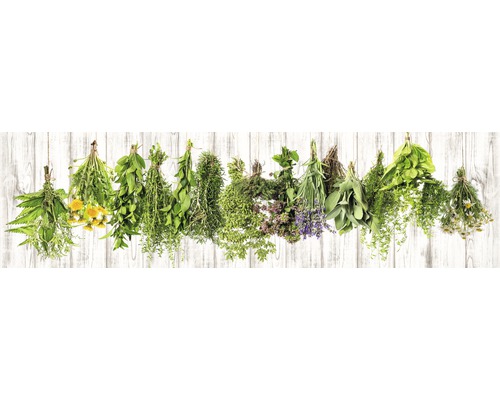 Crédence de cuisine mySpotti Splash Hanging Herbs fines herbes 2200 x 600 mm SP-F1-1260