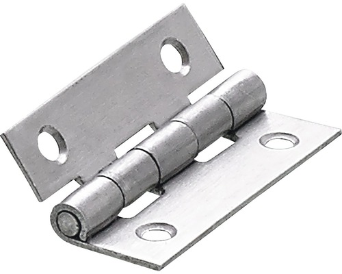 Schmales Scharnier, 40x25 mm, Edelstahl matt, 10 Stück Metallscharnier mit Befestigungslöchern