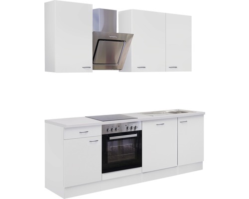 Küchenzeile mit Hängeschränken, Dunstabzugshaube, Spüle, Herd und Backofen