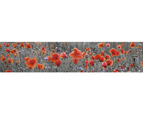 Crédence de cuisine mySpotti Splash Poppy fleurs 2800 x 600 mm SP-F2-1257