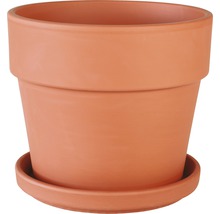 Pot de fleurs en terre cuite avec soucoupe assortie