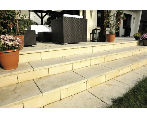 Escalier de terrasse en pierre naturelle avec mobilier de salon et pots de fleurs
